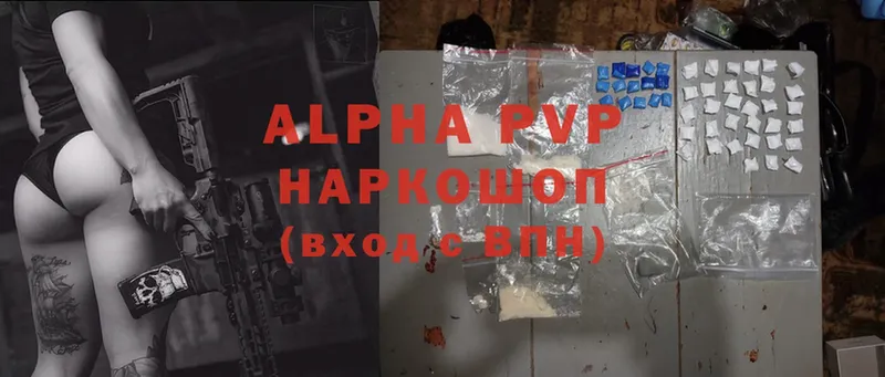 APVP VHQ  Курчалой 